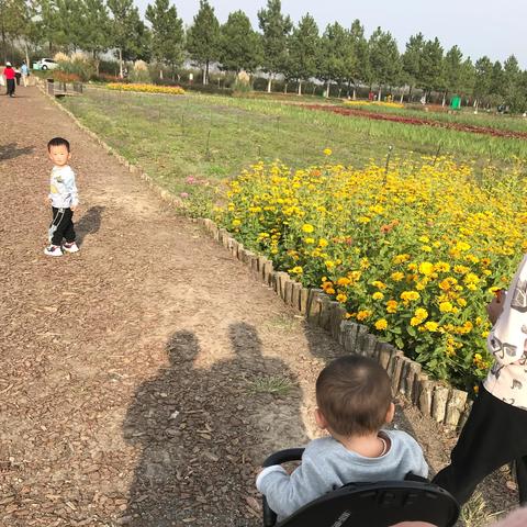 合肥市大圩在哪里