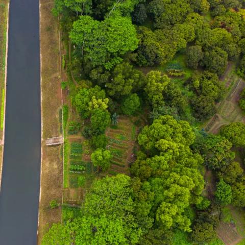 东莞市哪里有天然山水田