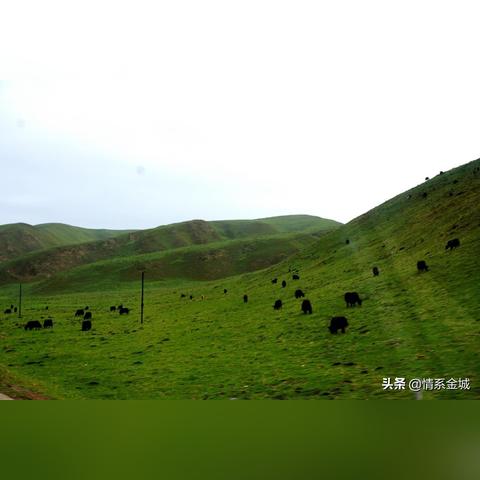 夏河到兰州火车的相关长尾关键词有哪些