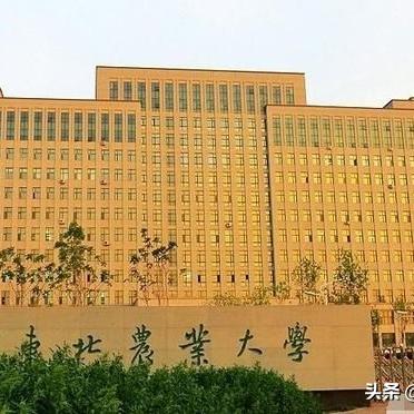 哈尔滨市在哪个省份
