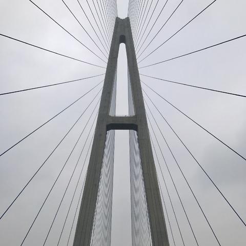 武汉市市区是哪个区
