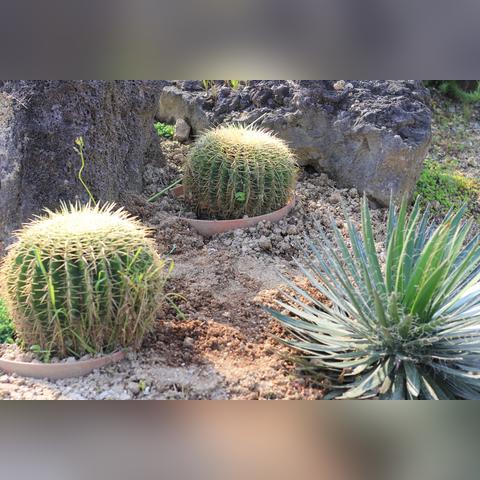 植物园地址宁波市什么区