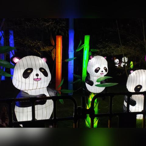 南宁中秋节有灯展吗的相关长尾关键词有哪些