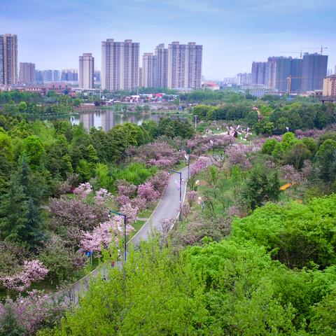 日化产品跨境电商有哪些
