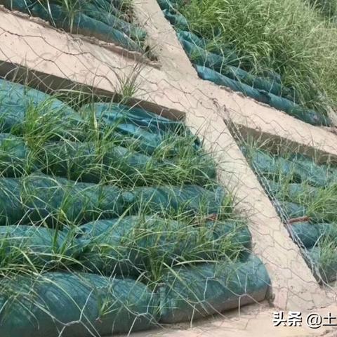 桂林石笼袋价格相关长尾关键词有哪些