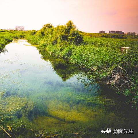 甘肃兰州林业园的相关长尾关键词有哪些