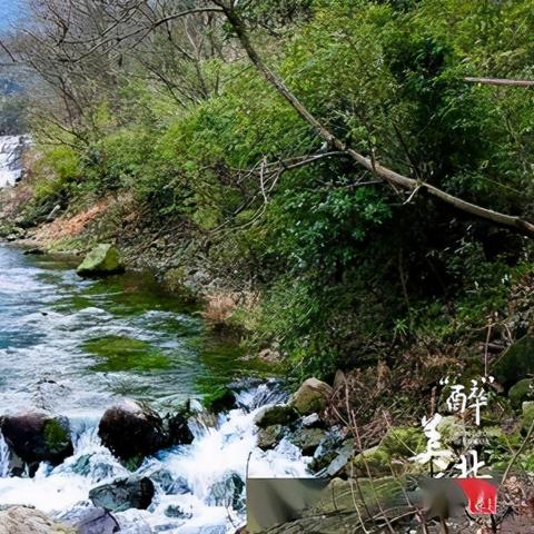 宁波市保健仪服务怎么样