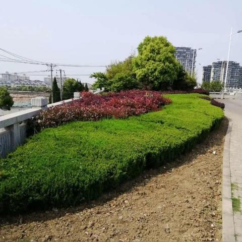 苏州市吴中区有什么路