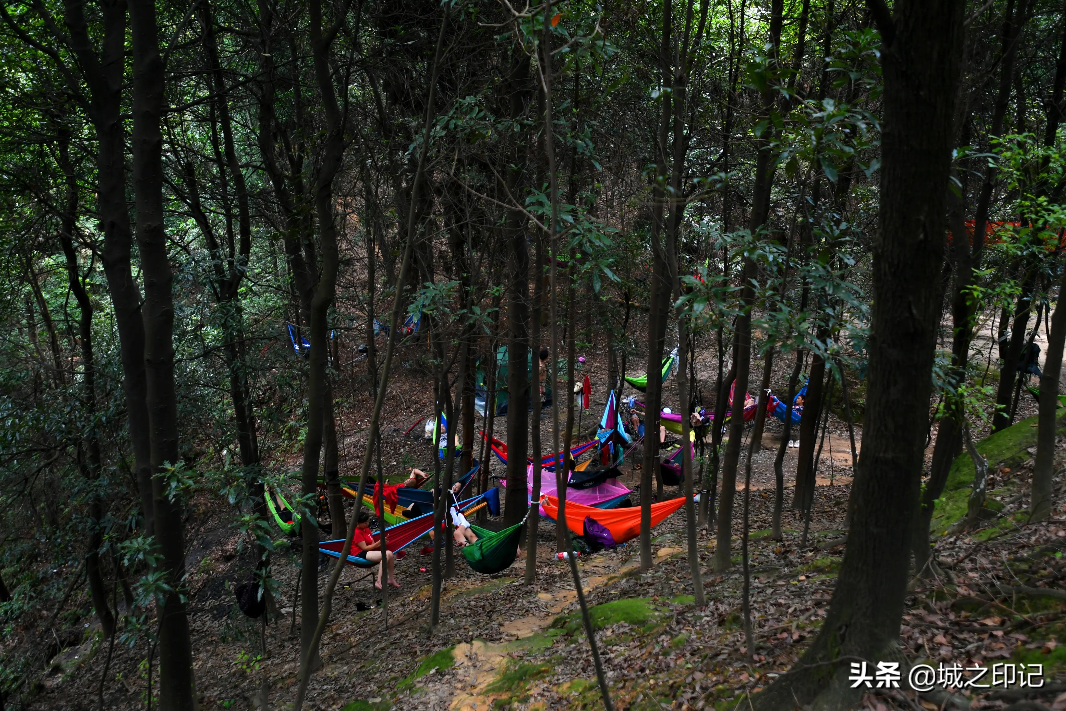 为什么头条爆料未采纳 微头条自媒体怎样爆料