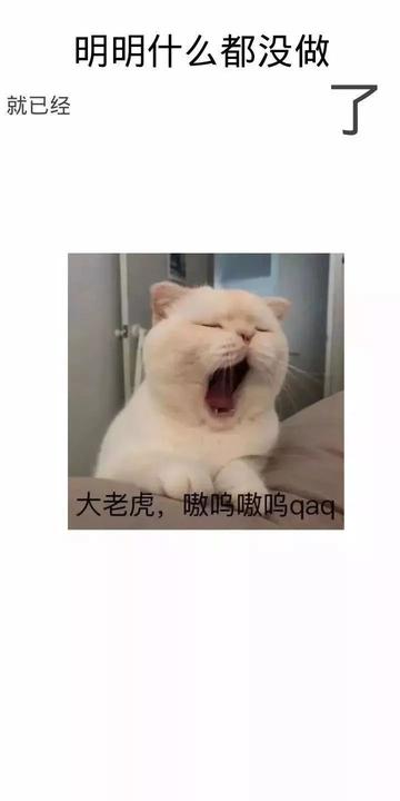 明明什么都没做就已经壁纸图片