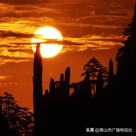 关于上海金山教师招聘相关关键词有哪些