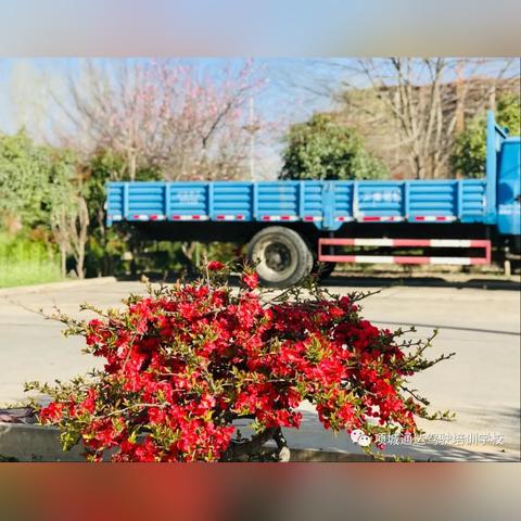 哈尔滨市通达驾校在哪里