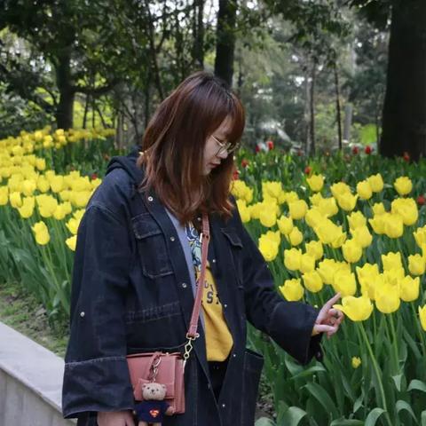 南通市啬园路相关长尾关键词有哪些