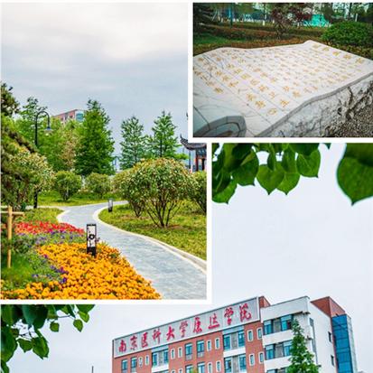 南通体臣长尾关键词有什么