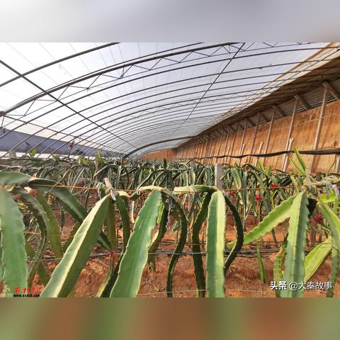 西安市金都办公室怎么样