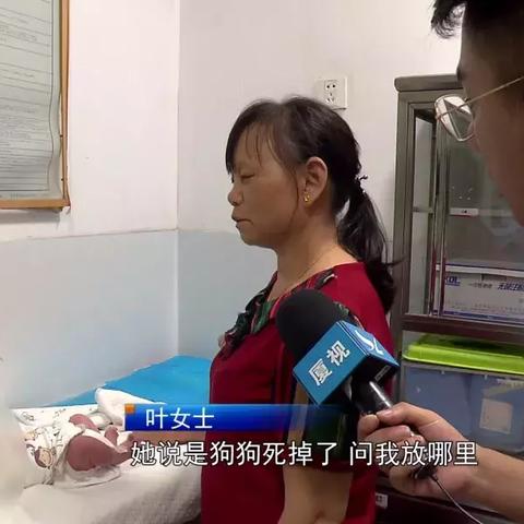 厦门狗狗聚会的地方的相关长尾关键词有哪些