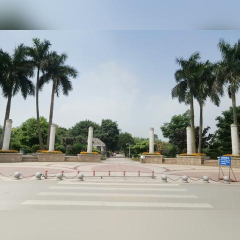 南宁花卉农场的相关长尾关键词有哪些