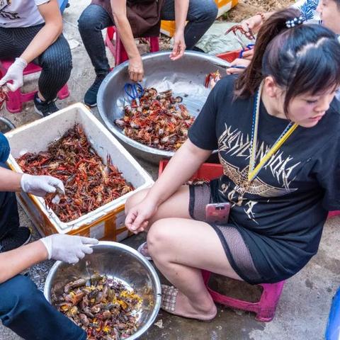 昆明与长沙市区哪个好点