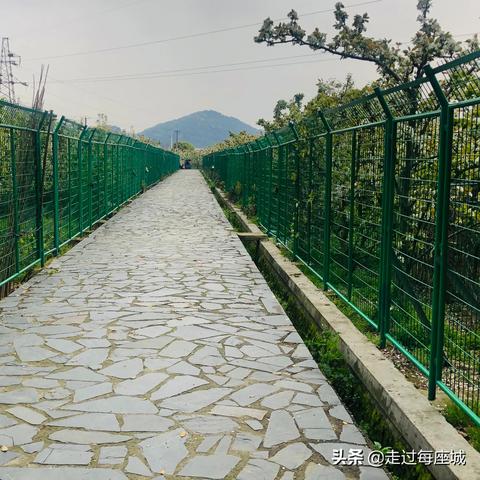 苏州市现在什么地方好玩