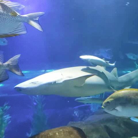 长沙海底相关长尾关键词有哪些