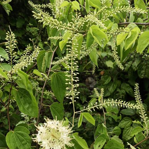 桂林市开水机维修点在哪里