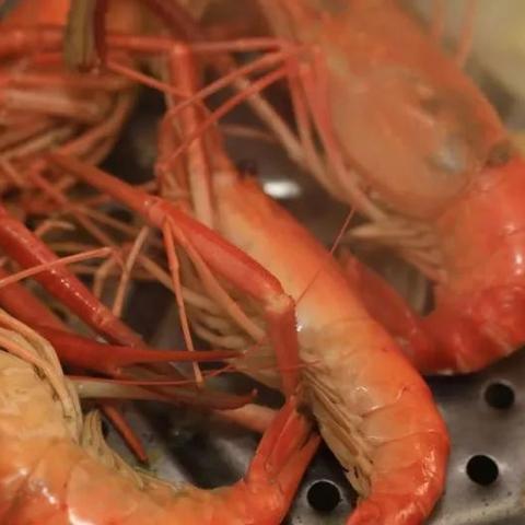 广州洛溪食街哪家好吃相关长尾关键词有哪些