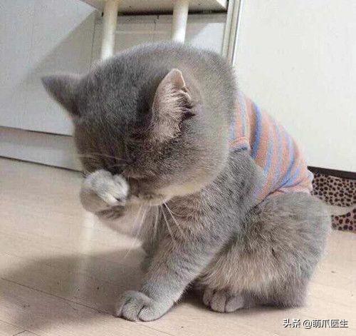 异物入眼时怎么处理可能会伤害到眼睛