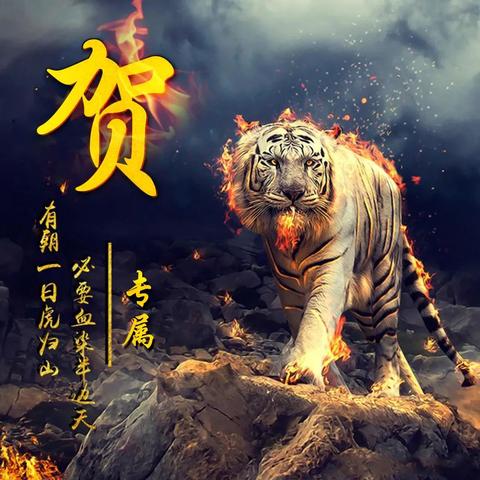 十二生肖的运势虎(2021运势12生肖运势虎)