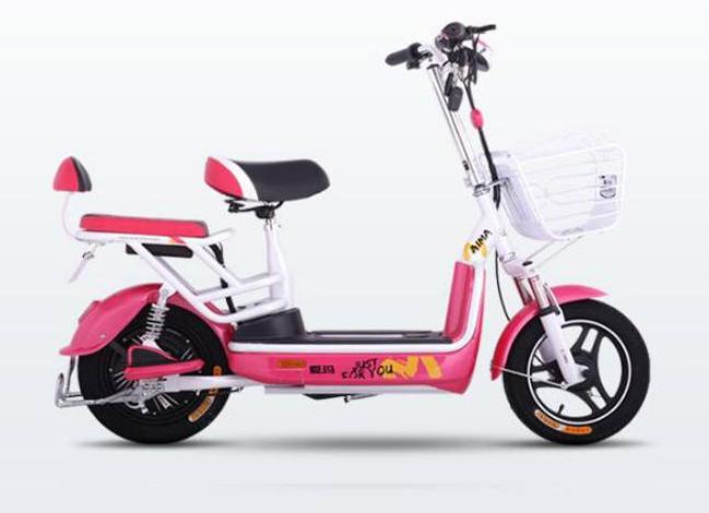 爱玛电动车十寸电机轴承型号