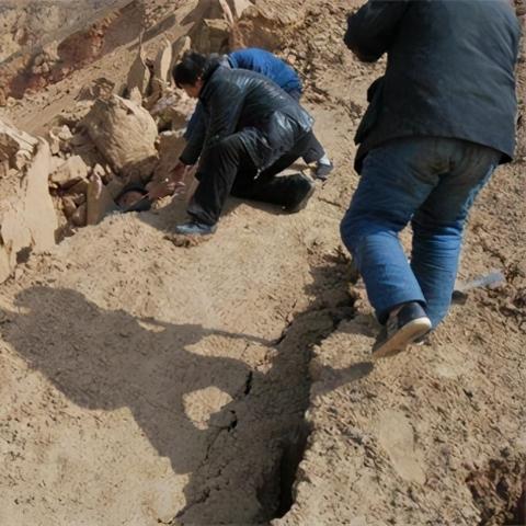 苏州市姓什么的多