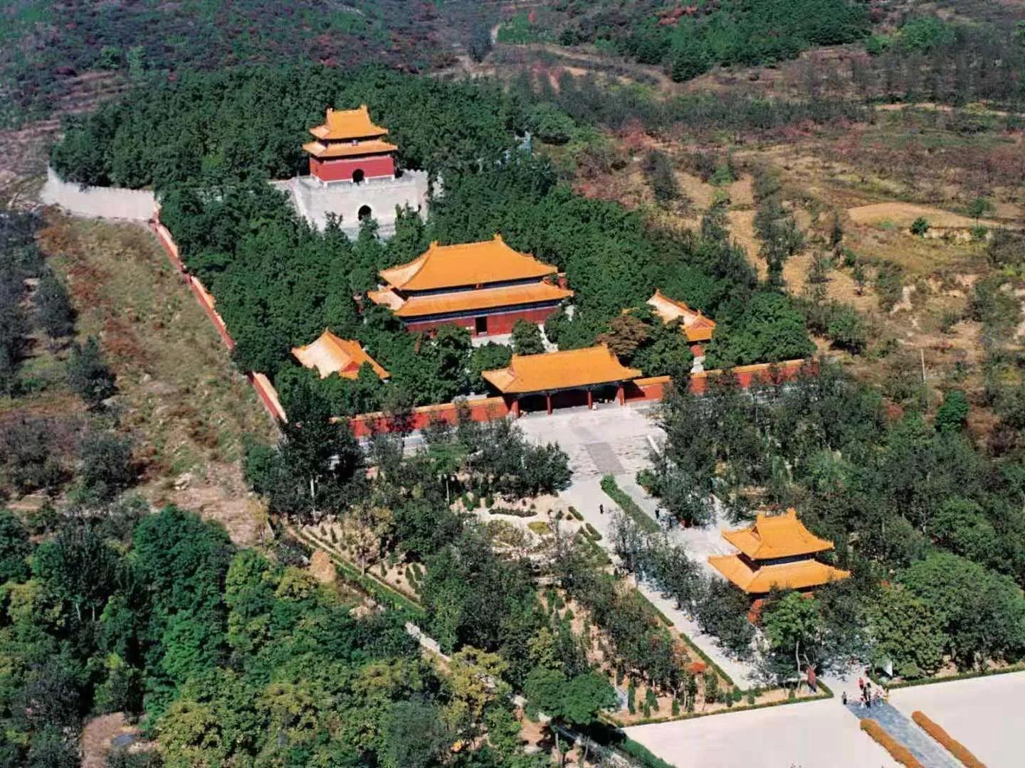 天津上海有什么美食（上海的东南西北哪个方向发展潜力最大）