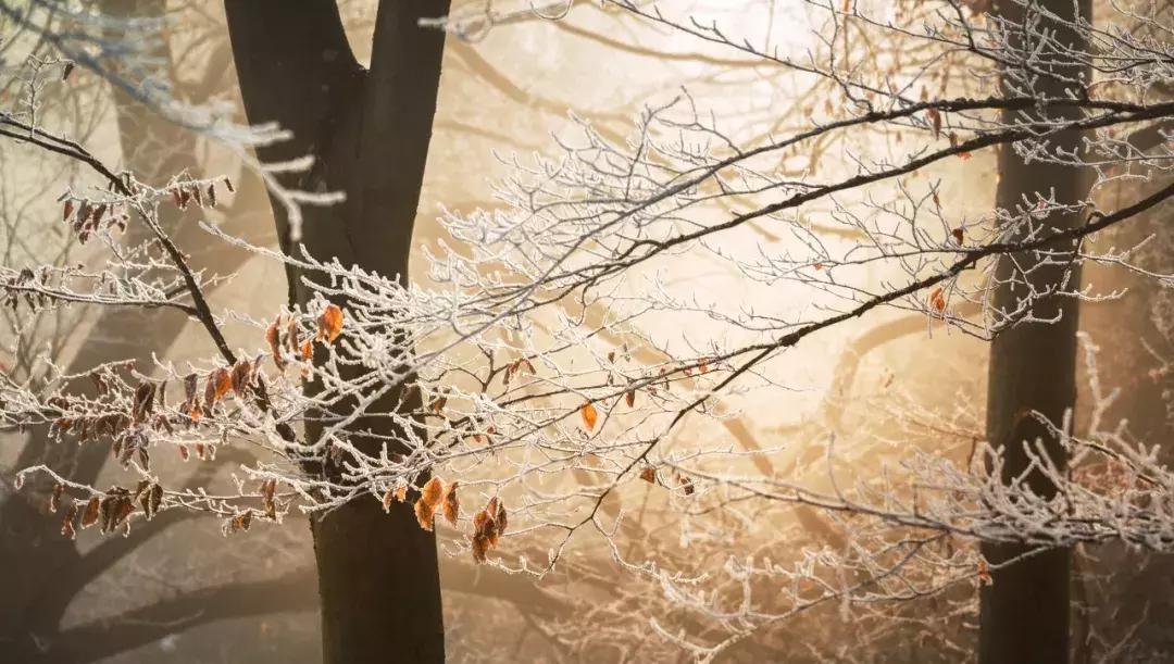 我的世界怎么下雪手机版（我玩我的世界水为什么老是莫名其妙的结冰而且很快就融化了）