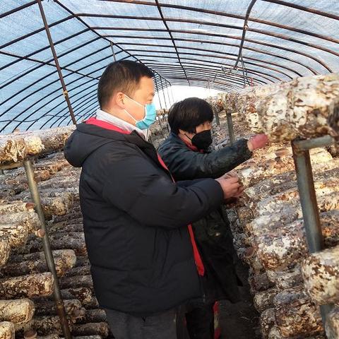 河南种水稻什么时间育苗