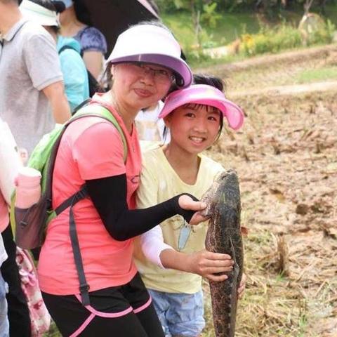 东莞市去哪里旅游好