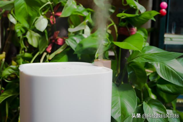 冬天宝宝能不能使用加湿器