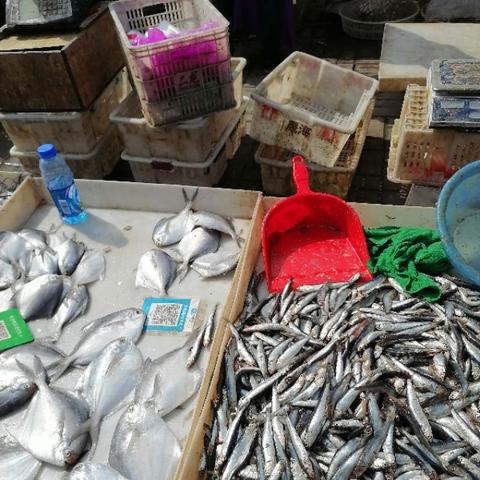 大连市早市什么时候开业