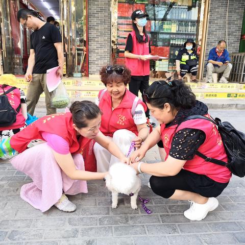 兰州哪个宠物医院看病便宜又好？