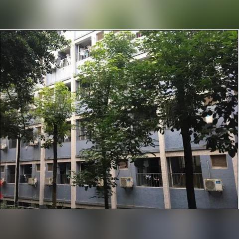 重庆大学考研环境宿舍的长尾关键词有哪些