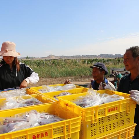 苏州常熟达富怎么样