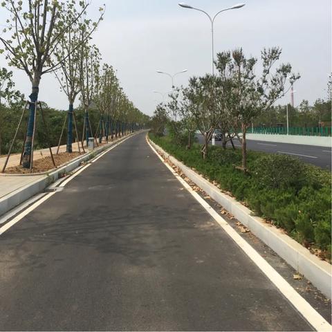 阳罗属于武汉市哪个区