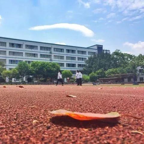 成都市机场路社区在哪里