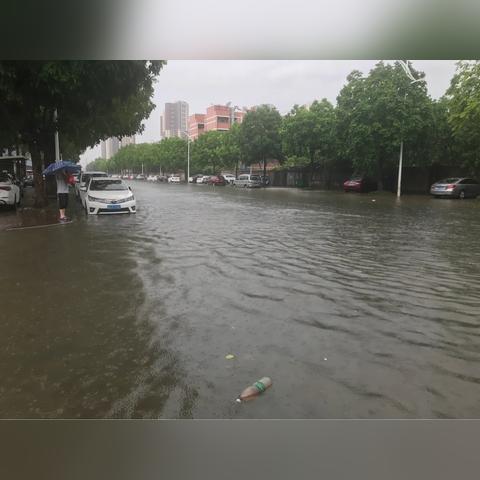 东莞市车报废去哪里