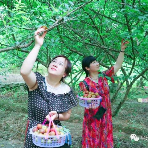 桂林市家居建材推荐店有哪些