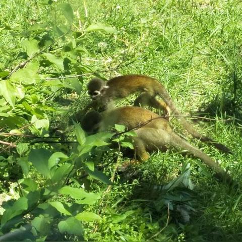 长春市红灯女在哪里