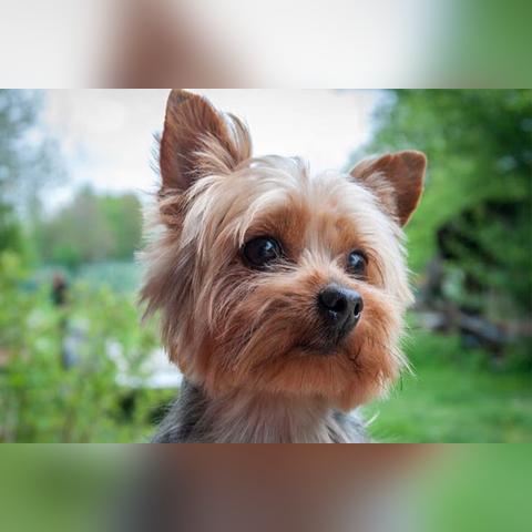 你们的八字真的合吗？