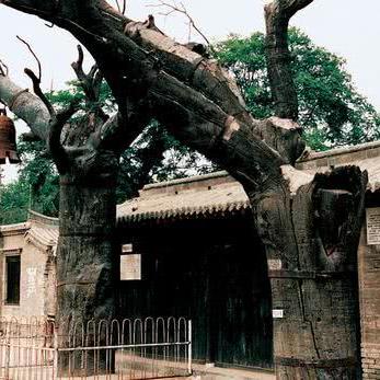 保定市周末自驾游景点有哪些