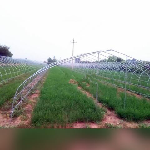 安徽合肥市哪个县好