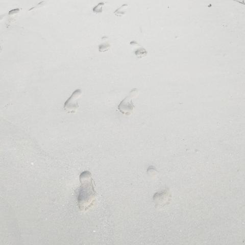 东莞市附近沙滩在哪里