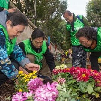 武汉市林业集团怎么样