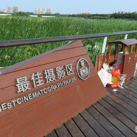 垃圾分类走进哈尔滨活动相关长尾关键词有哪些